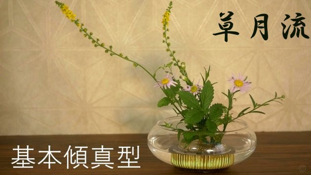 套花呗手续费那些事儿