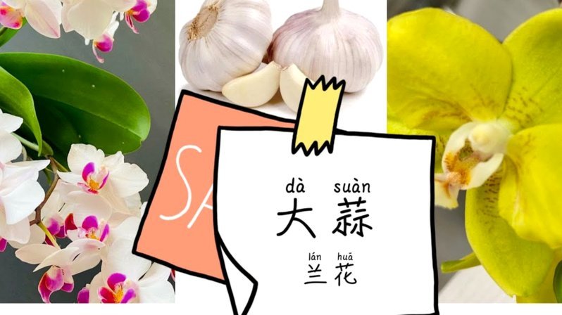 套花呗要收手续费吗
