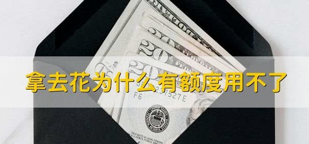 拿去花提现指南