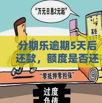 分期乐里面的额度怎么用