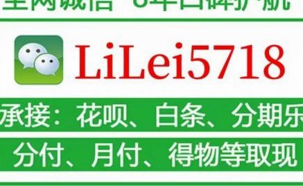 微信分付套出来app