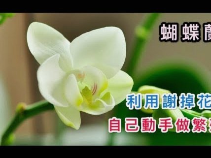 花呗套现的风险与真相