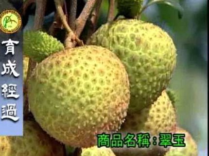 便荔卡额度能提现吗？解析额度使用及取现规则