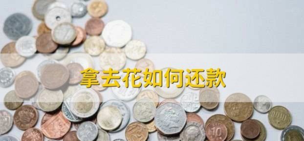 携程拿去花怎么还款