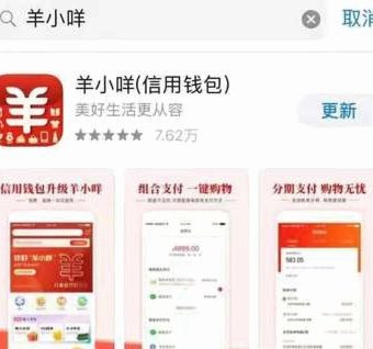 羊小咩的额度如何套出来