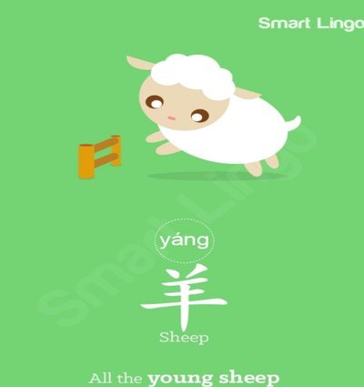 羊小咩修改信息怎么操作