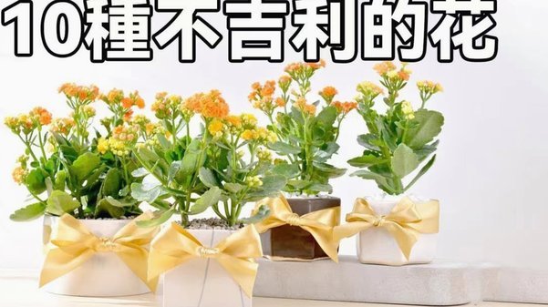 花呗里钱怎么变现？