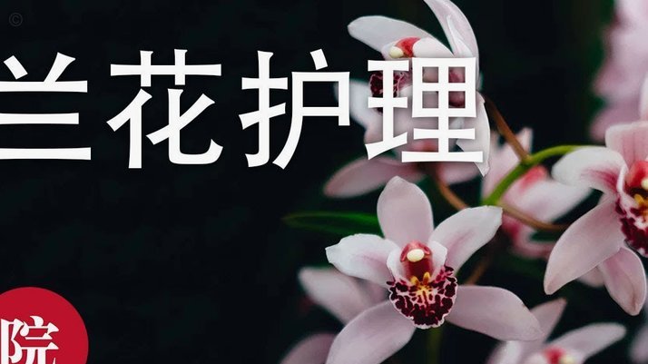 花呗套出来会被惩罚吗知乎