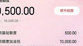 白条怎么套现方法