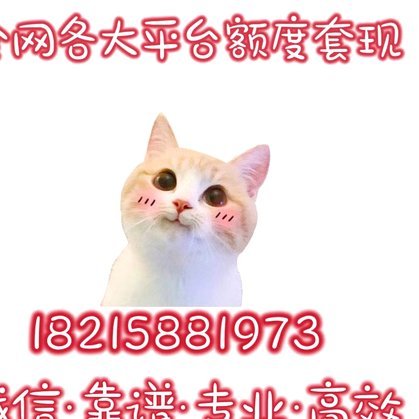 去哪儿拿去花是什么