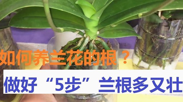 花呗怎么提现金出来