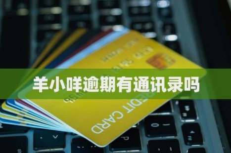 羊小咩借钱怎么申请