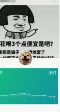 套花呗是什么意思