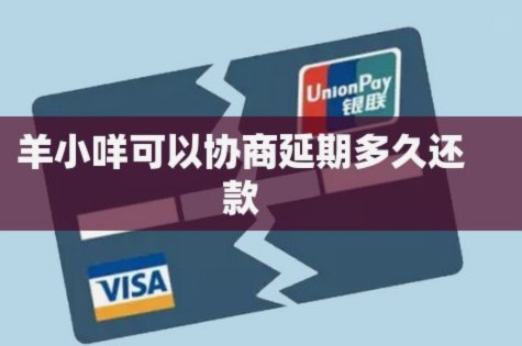 羊小咩借钱