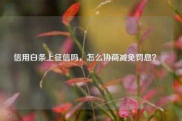 得物购物额度开通指南
