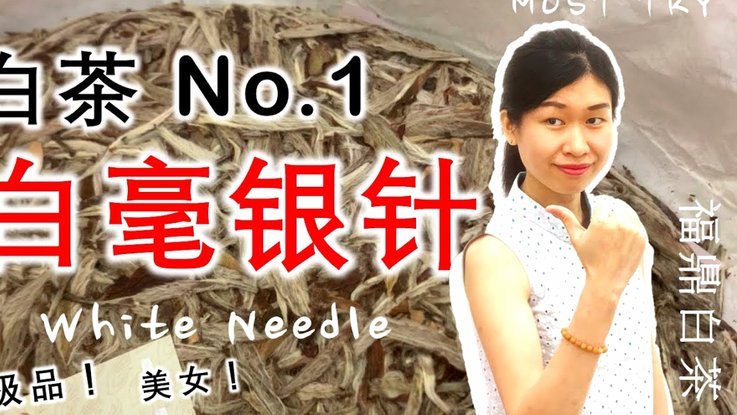白条未出账不能还款吗