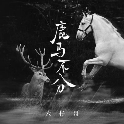探索鹿马优选的下载秘籍