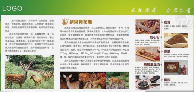 鹿优选：如何发现好商品？
