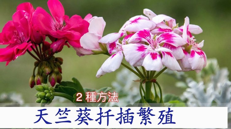 不还款影响有多大？携程拿去花逾期后果解析