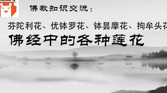 携程拿去花消费后不还钱会怎么样