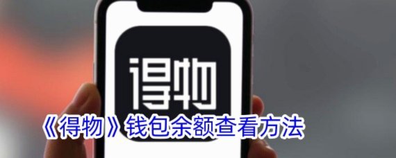 得物的钱包余额怎么使用
