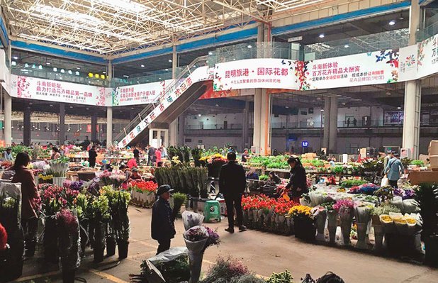 花呗商家联系指南全攻略