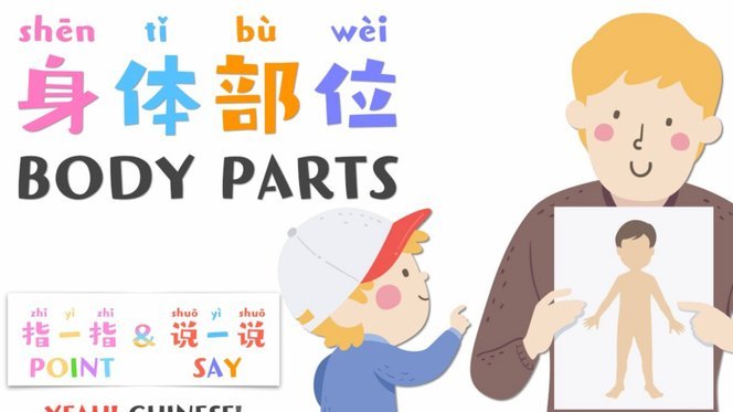 鹿优选怎么取消续费