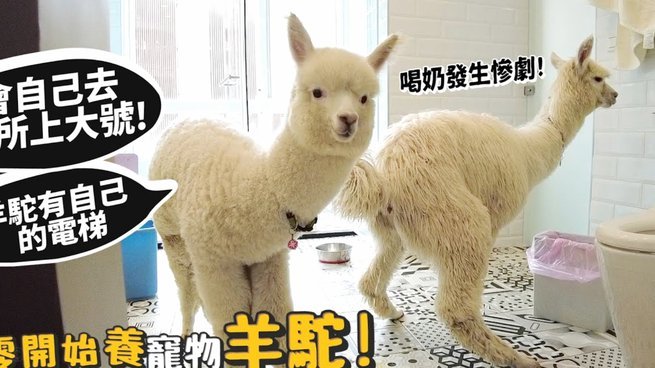 分付提现手续费