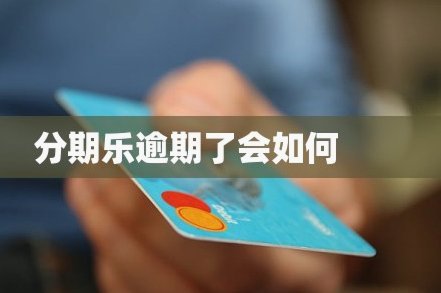 分期乐额度被冻结了