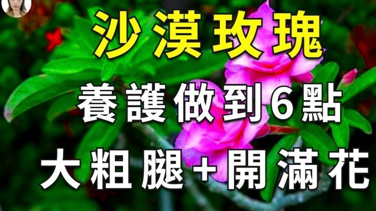 花呗套现会被惩罚吗？知乎如何正确处理？