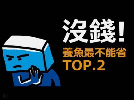 得物用户提现要多久