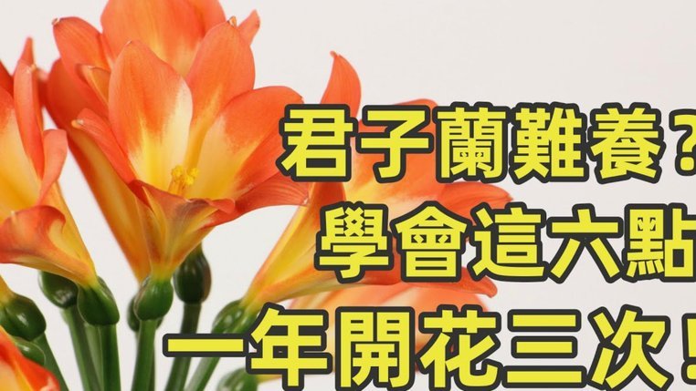 花呗套现是什么？真的能套现吗？