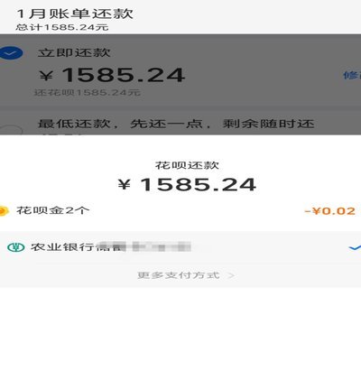 花呗提前还款在哪里