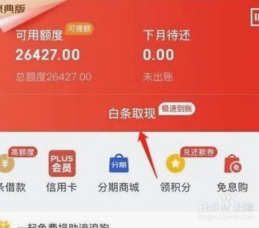 白条怎么套出来钱