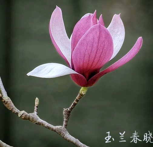 花呗套现触法网？违法吗？