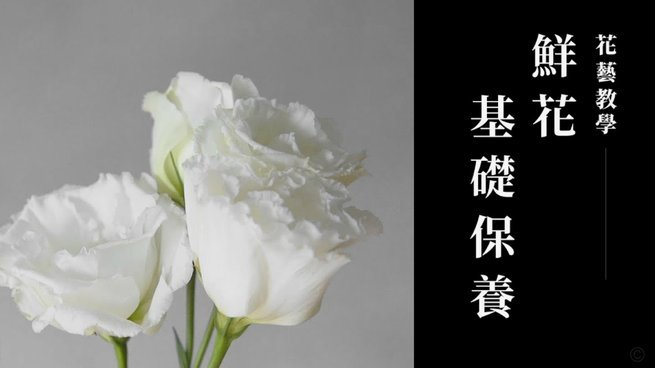 拿去花的取现怎么没有了 秒到呢