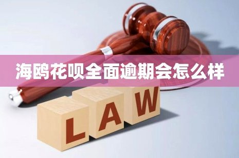 透视“海鸥花呗平台”：科技赋能下的信用消费新生态