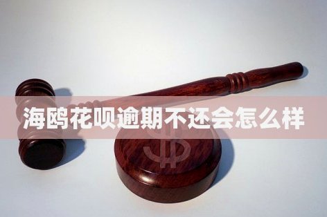 海鸥花呗平台 怎么样
